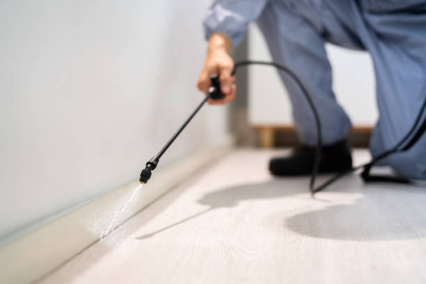 Licensed Fumigation Services service in McDonough, GA - Nex Pest Control