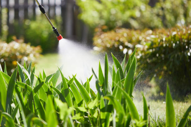 24/7 Emergency Fumigation Services experts in McDonough, GA
